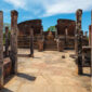 Discover the Magic of Sri Lanka 85x85